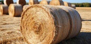 Visites d'entreprises Recy Ouest et GAEC Maillard