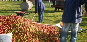 fete de la pomme 2024